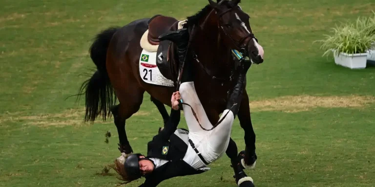 How to Make Your Horse Stronger