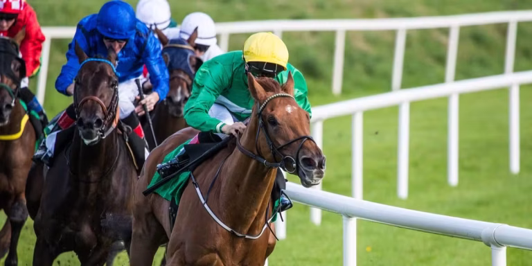 Famous Ponies That Made History