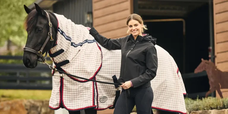 Gear Safety and Horse Comfort Checks